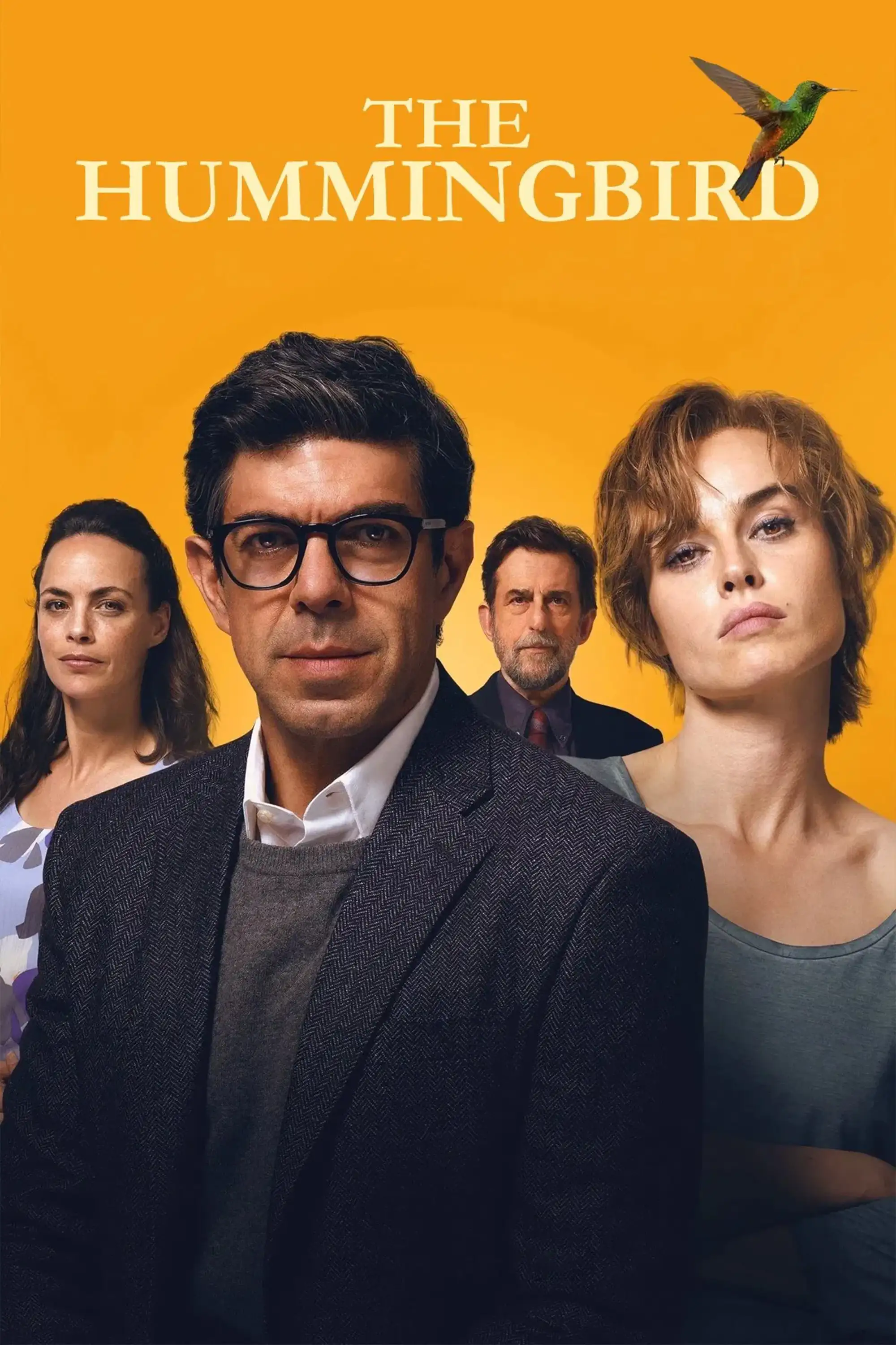 مرغ مگس خوار